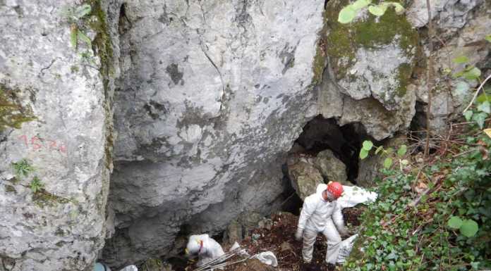 Volontari e speleologi al lavoro, ripulite le grotte di Brunino