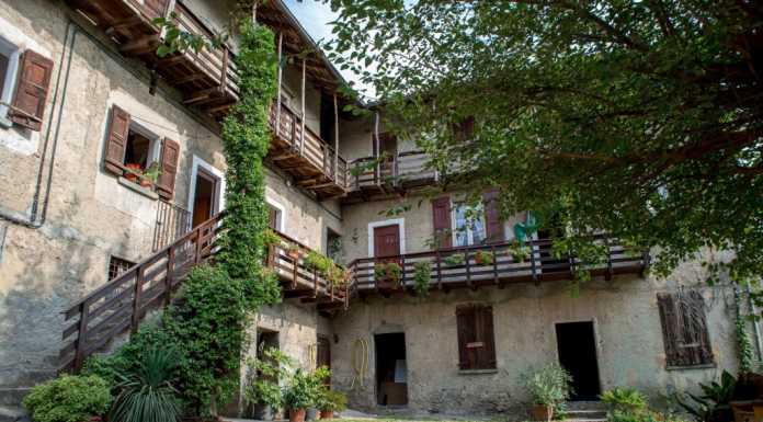 Don Guanella: agricoltura sociale, un voto per coltivare la speranza