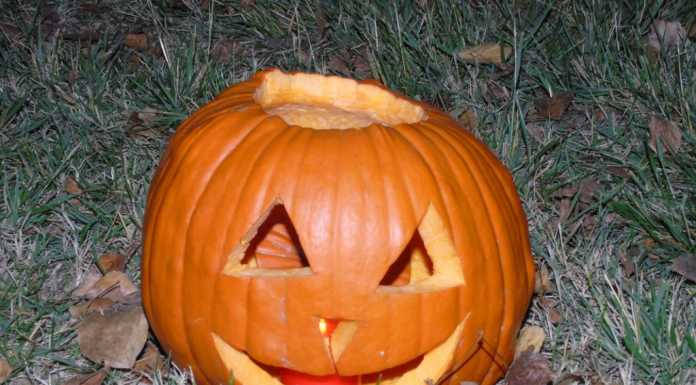 Calolzio. Per Halloween torna il concorso “Mostra la zucca!”
