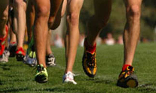 Campestre: ai nastri di partenza il IV° trofeo Centro Meridiane