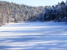 Green News. La classificazione climatica dei laghi