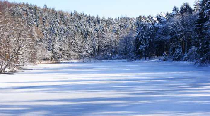Green News. La classificazione climatica dei laghi