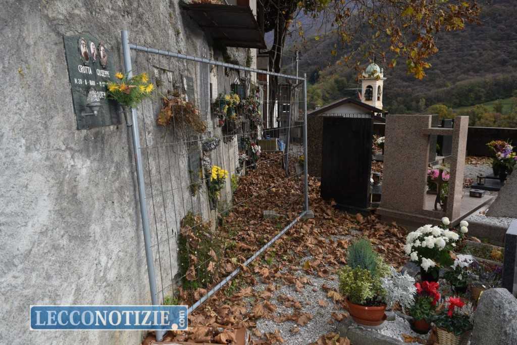 platano_cimitero_laorca-17