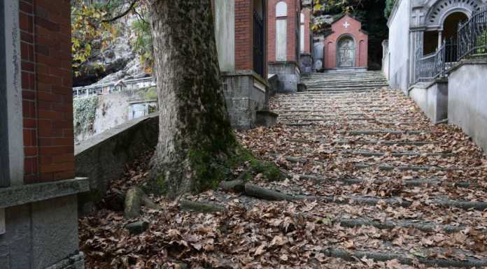 Cimitero di Laorca. Un platano sta demolendo il muro. I residenti: “Intervenite!”