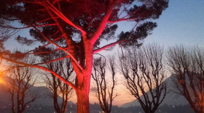 Gli alberi del lungolago si illuminano di Natale con Appello per Lecco