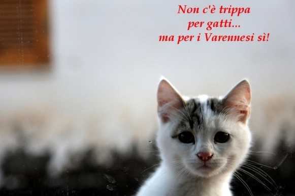 “Natale a Varenna”, il 22 trippa e il 23 lancio delle lanterne dei desideri