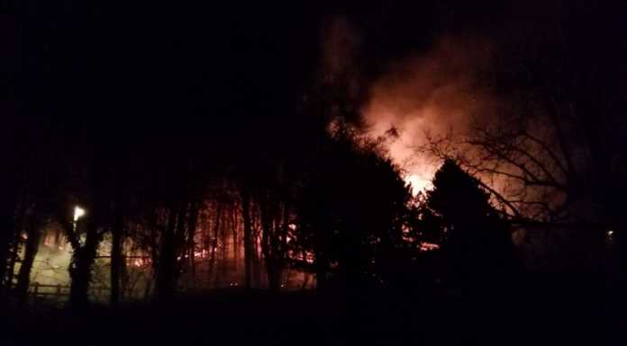 Barzio: grosso incendio nel bosco, Vigili del Fuoco al lavoro