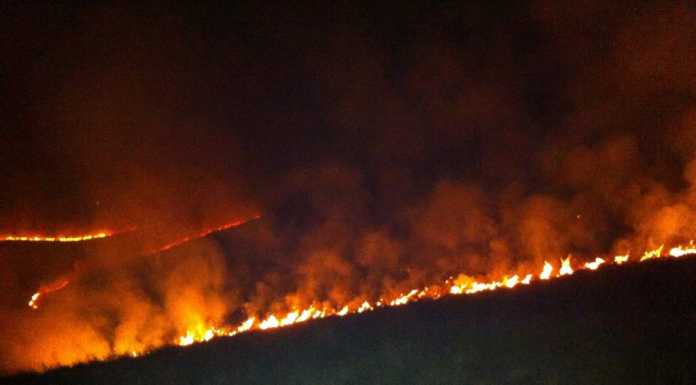 Notte di fuoco sul Monte San Primo, fermate le fiamme