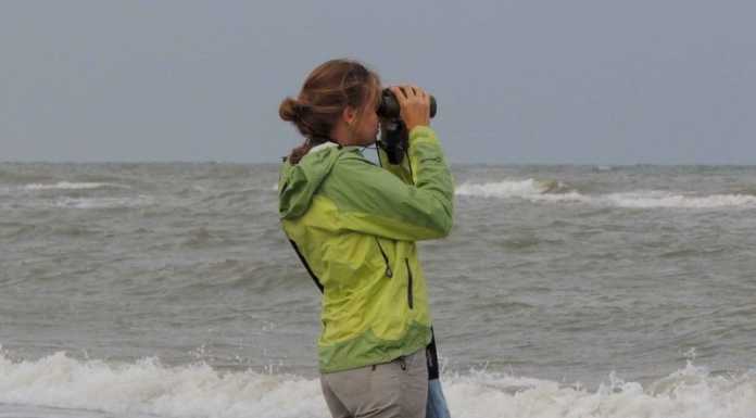 Ancora aperte le iscrizioni per il corso di birdwatching con il WWF