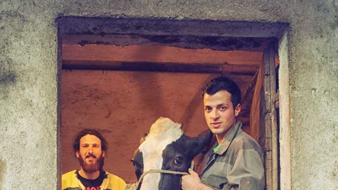 15mila mucche, capre e pecore ora possono firmare i loro formaggi