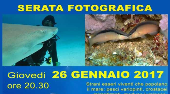 Leccosub, una serata fotografica alla scoperta dei fondali marini