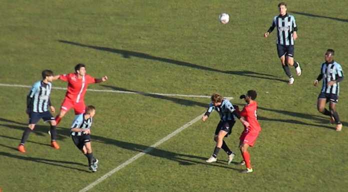 Calcio Lecco sconfitta al Brianteo: il Monza si impone per 2-0
