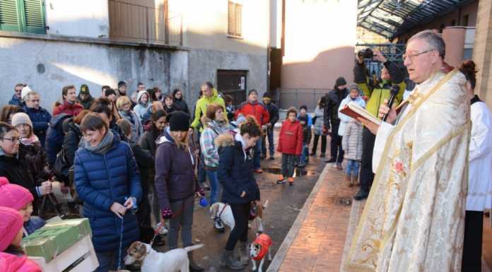 S. Antonio Abate: rivive la tradizione con la benedizione degli animali