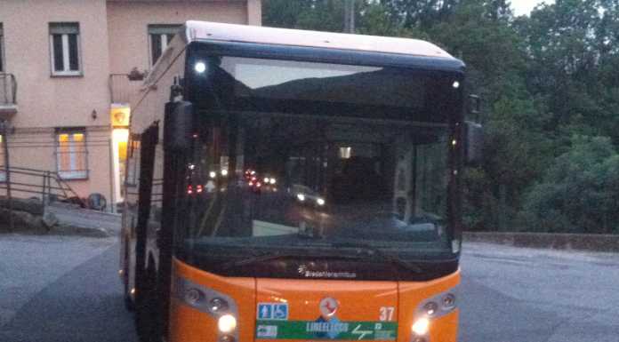 Lettera. “Tutti in coda, dietro i pullman che sostano sulla carreggiata” bus pullman autobus