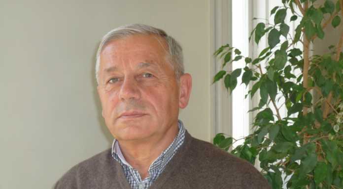 Sostegno alle imprese, l’analisi del Fondo di Garanzia