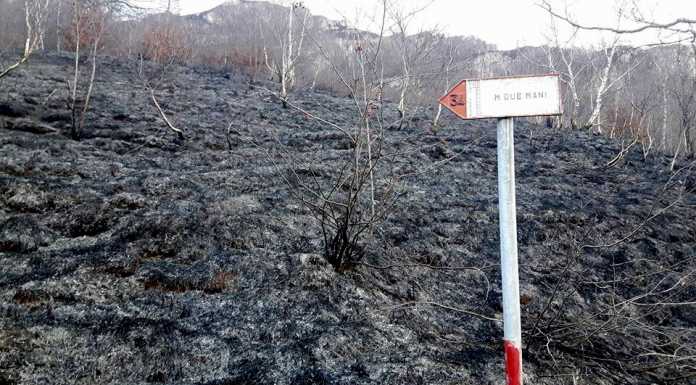 Monte Due Mani: la situazione dopo il devastante incendio