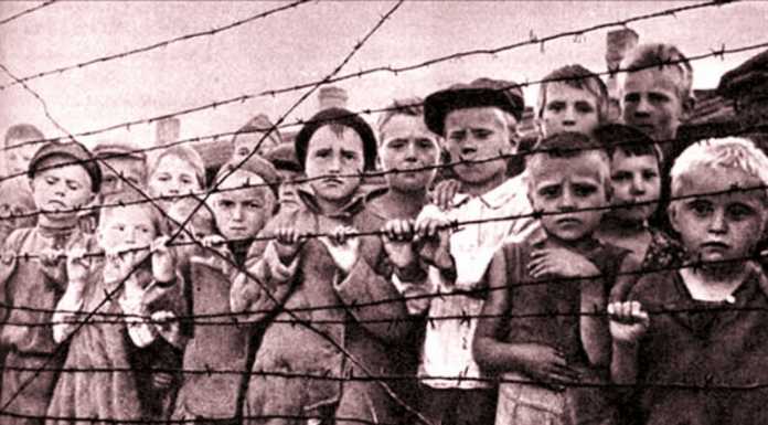 Giorno della Memoria, tante iniziative per non dimenticare