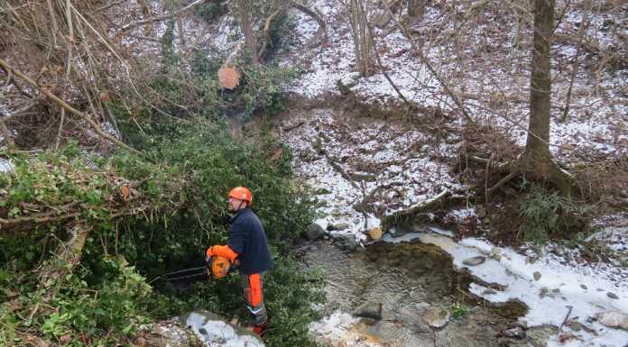 Protezione civile al lavoro per ripulire le sponde del Rio Gambaione