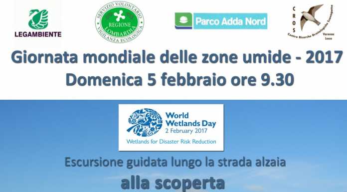 Legambiente: una giornata alla scoperta della Palude di Brivio