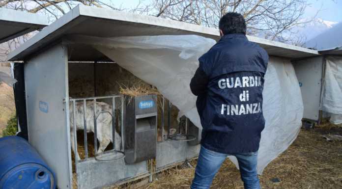 Reati ambientali. Posta sotto sequestro azienda agricola a Cremeno