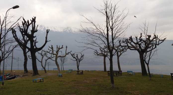 Dervio, lavori in corso in lungolago: spiagge pulite e alberi potati