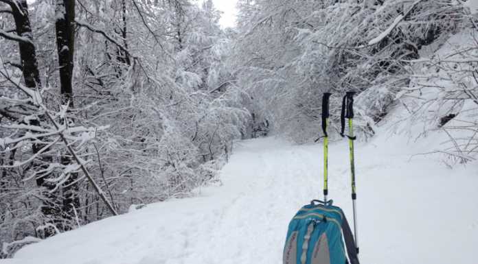 Benvenuto Inverno! E le giornate tornano ad allungarsi come recita la filastrocca