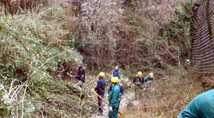 Antincendio Boschivo Alpini Monte Medale al lavoro lungo il vallo