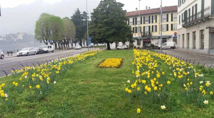 Aree verdi, continuano i lavori di abbellimento da parte del Comune