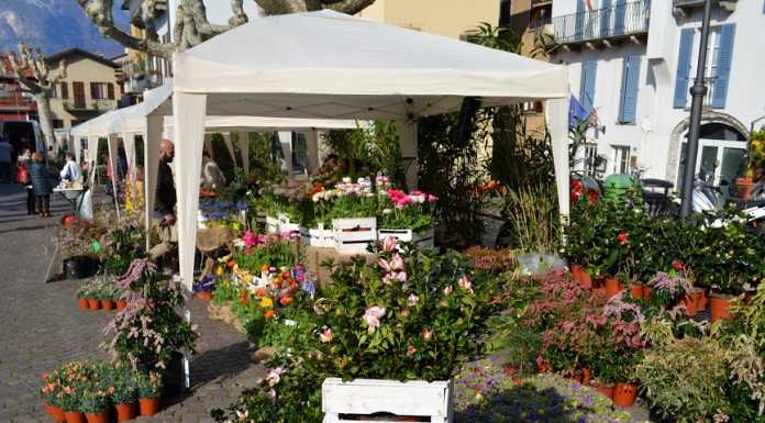 “Primav… arenna!” tra mostra mercato, visite guidate e passeggiate