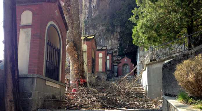 Cimitero di Laorca, si pota il grande platano: intervento risolutivo o palliativo?