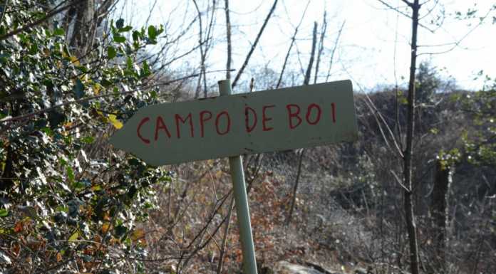 La strada per Campo de Boi cambia rotta: “Minor consumo di bosco”