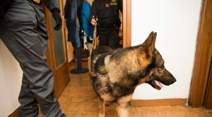 Traffico internazionale di droga: 8 arresti e 1,8 kg di eroina sequestrati