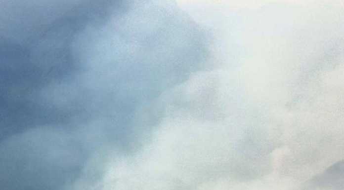 Incendi boschivi in Alto Lago, arrestati 2 piromani