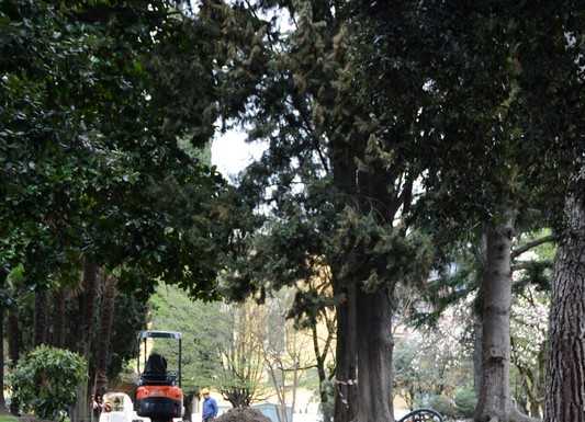 Belgiojoso: si lavora per il nuovo parco. “Pronto entro fine anno”