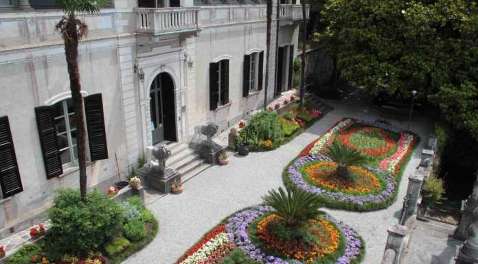Camelie sul Lario, il fascino del giardino botanico di Villa Monastero
