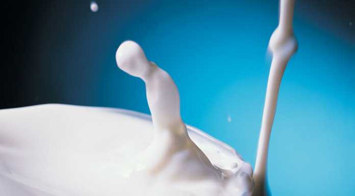 Latte d’asina: maxi sequestro dei carabinieri in provincia di Parma