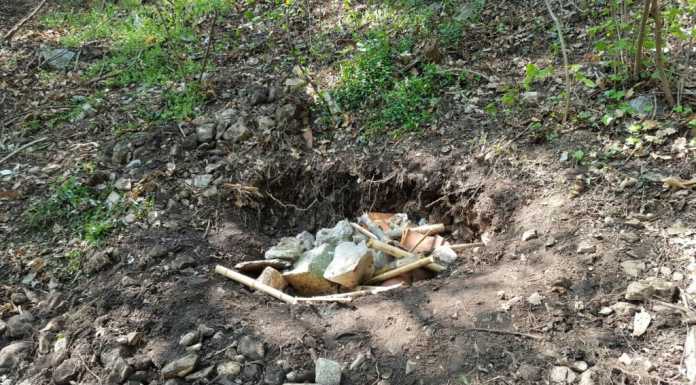 Eupilio. Gli alunni puliscono il bosco e trovano un cadavere