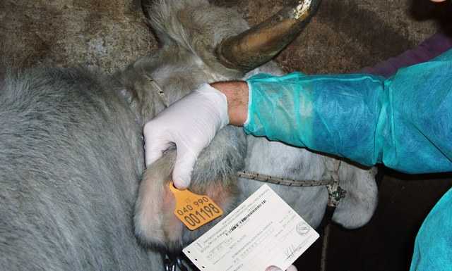 Allevamenti e salute: i risultati di un anno di controlli dell’ATS Brianza