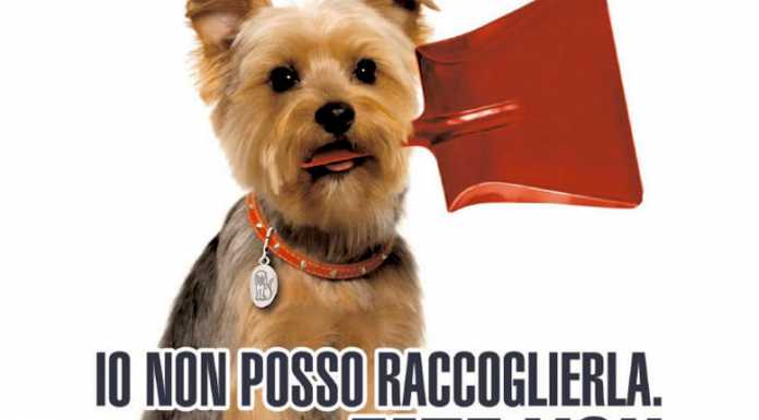 Lierna, escrementi di cani in spazi pubblici. “Dov’è il senso civico?”