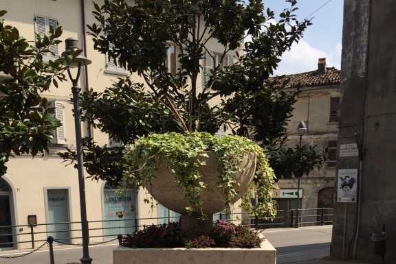 Olginate, nuovo look per rotonde e fioriere: “Simboleggiano la vita”