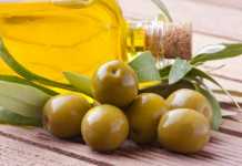 Sul Lario olive poche, resa in aumento: “Del 10% o poco superiore”