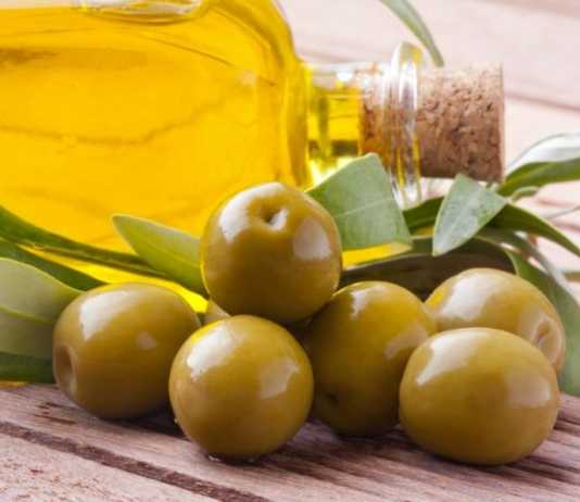 Sul Lario olive poche, resa in aumento: “Del 10% o poco superiore”