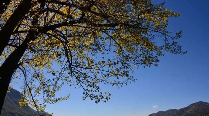 Anche a Pescate si può fare il bagno: l’ATS dà l’ok alla baneabilità