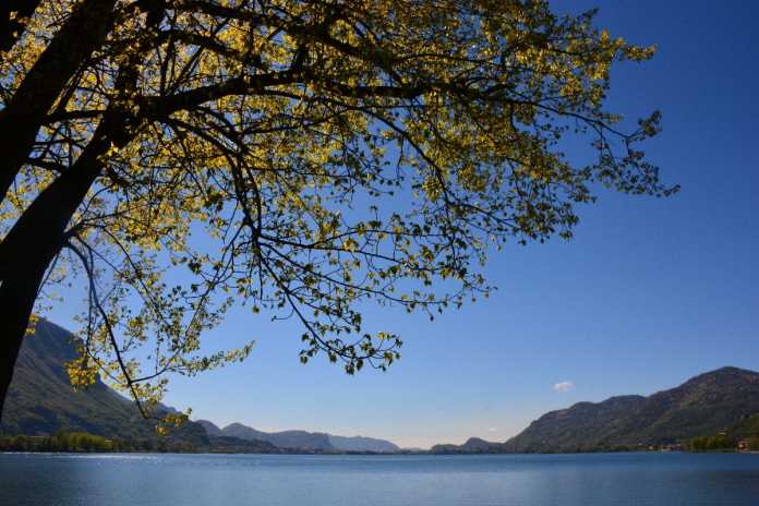 12983269_10208933795048307_7873550490099817264_o