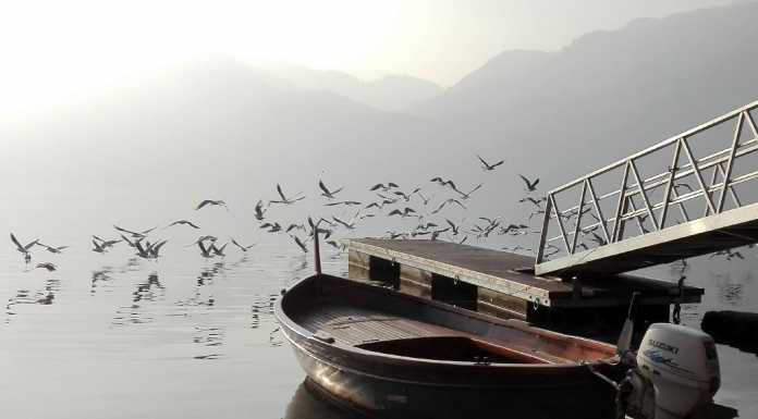 Fotoconcorso, libri e vini. A Mandello va in scena la creatività