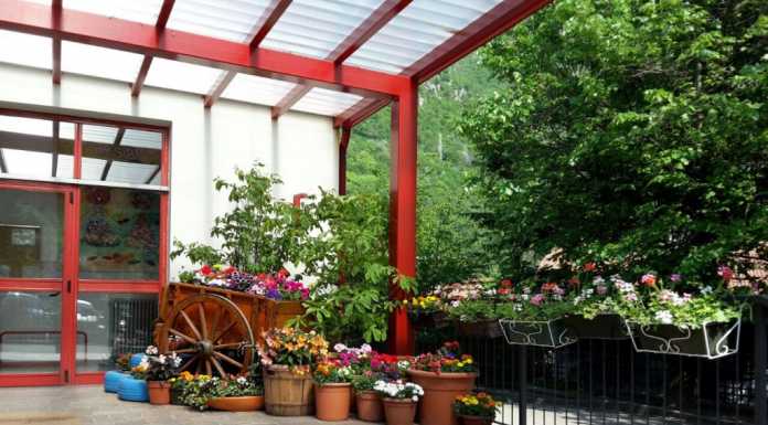 Progetto Scuole Fiorite: la “Fantasia” di Ballabio è in gara