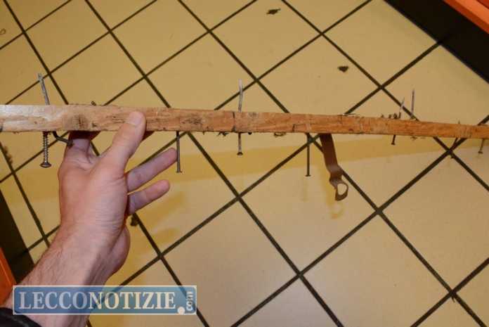 bastone chiodato (1)