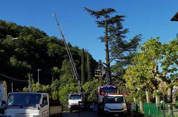 Il Comune di Perledo: “Basta polemiche sull’albero di piazza Stazione”