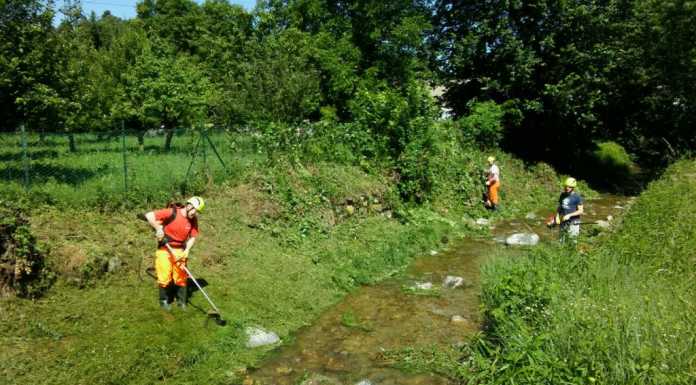 Dolzago: volontari al lavoro, ripulite le sponde del Gandaloglio