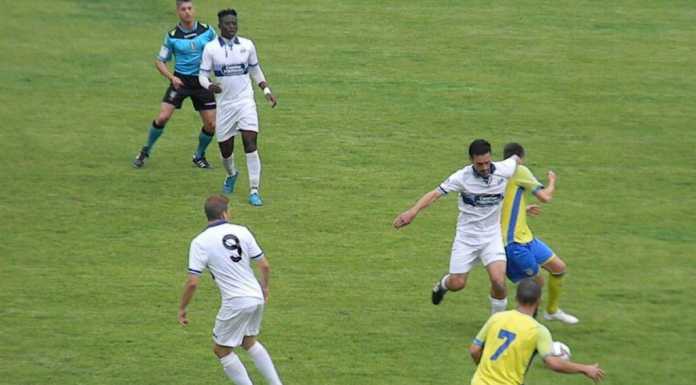 Calcio. Il Lecco batte la Pergolettese e va ai playout